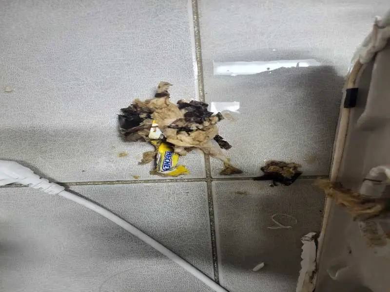 노원구 배관 이물질 제거 사례 2